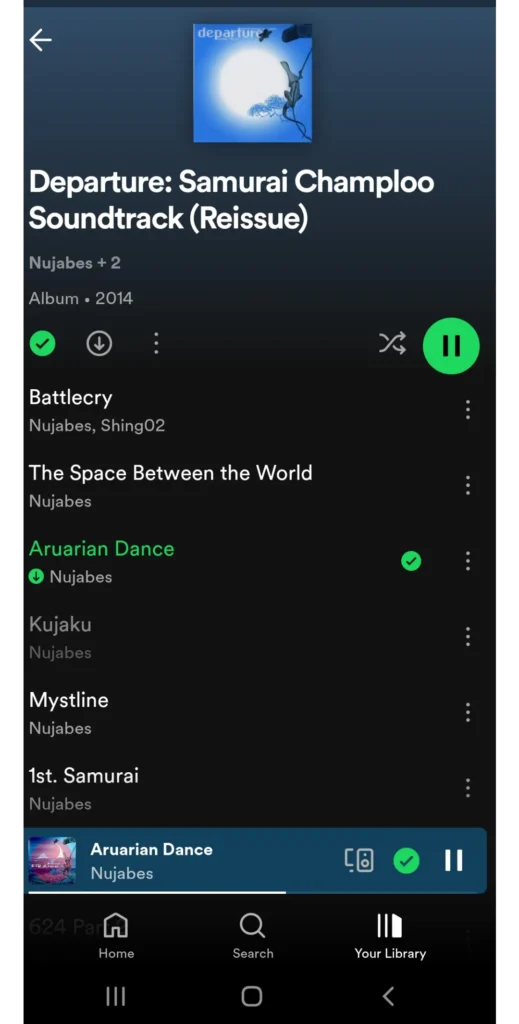 Spotify Premium Uygulama Ekran Görüntüsü