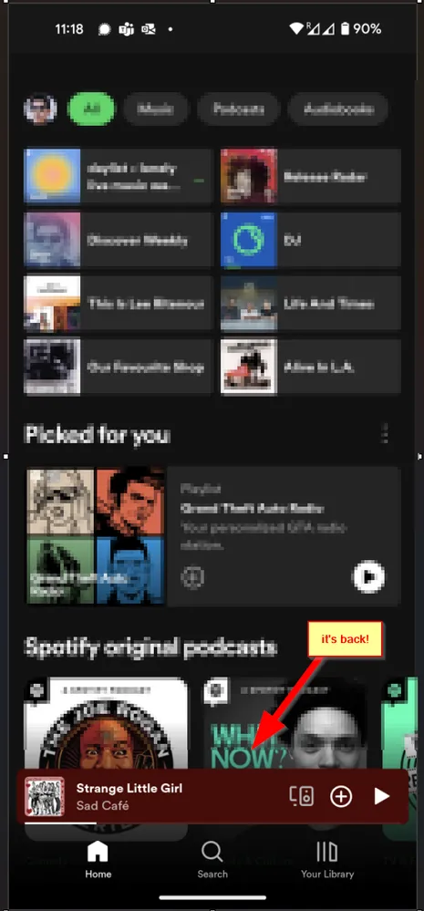 Spotify Premium Uygulama Ekran Görüntüsü